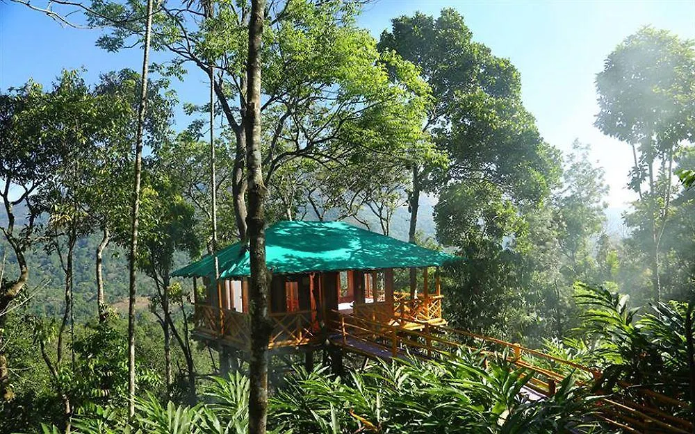 Dream Catcher Resort Munnar