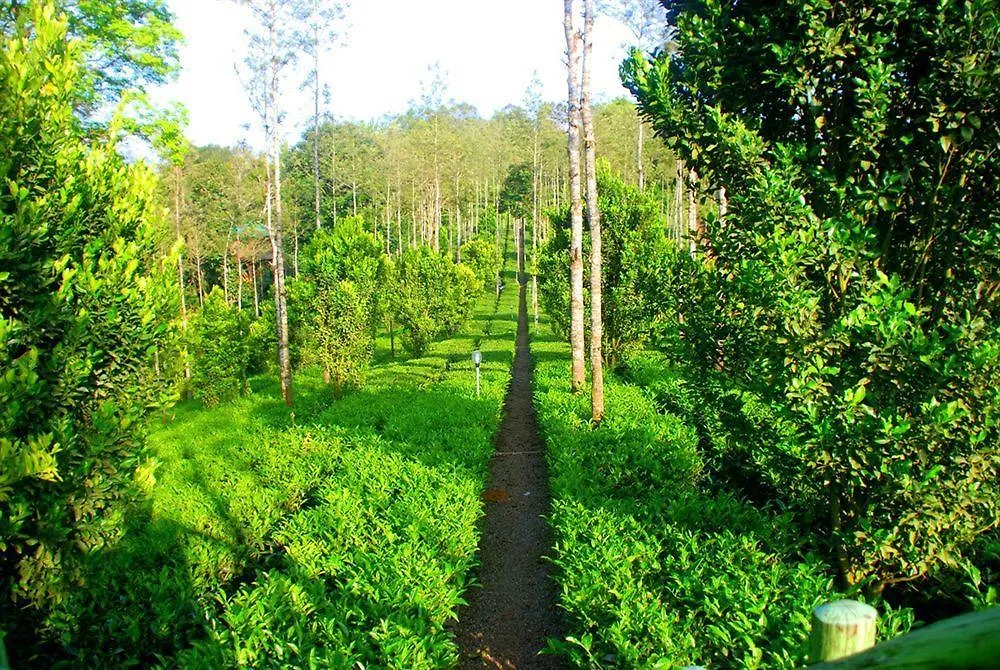 Dream Catcher Resort Munnar 2*,  India