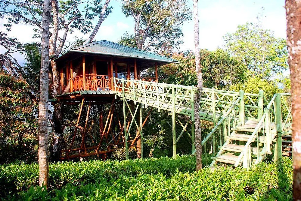 **  Dream Catcher Resort Munnar India
