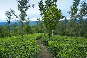 Dream Catcher Resort Munnar