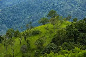 Dream Catcher Resort Munnar