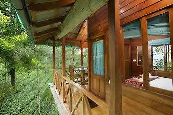 Dream Catcher Resort Munnar