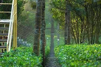 Dream Catcher Resort Munnar 2*,  India