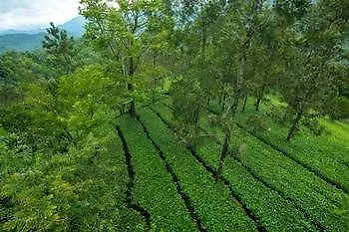 Dream Catcher Resort Munnar 2*,