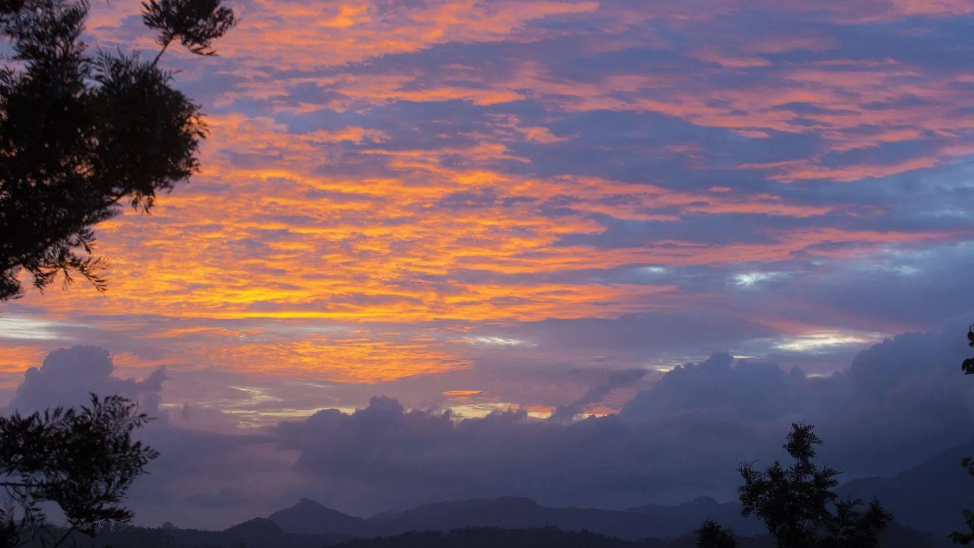 Dream Catcher Resort Munnar