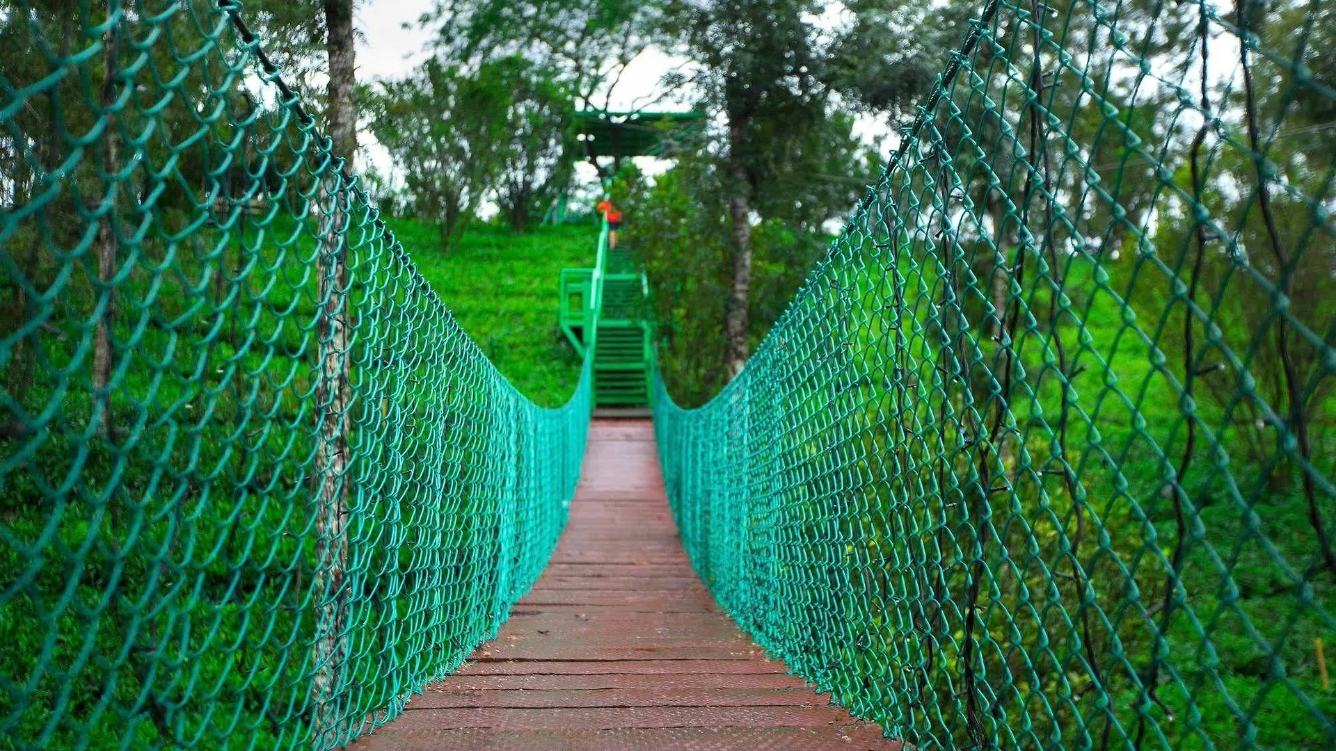 Dream Catcher Resort Munnar