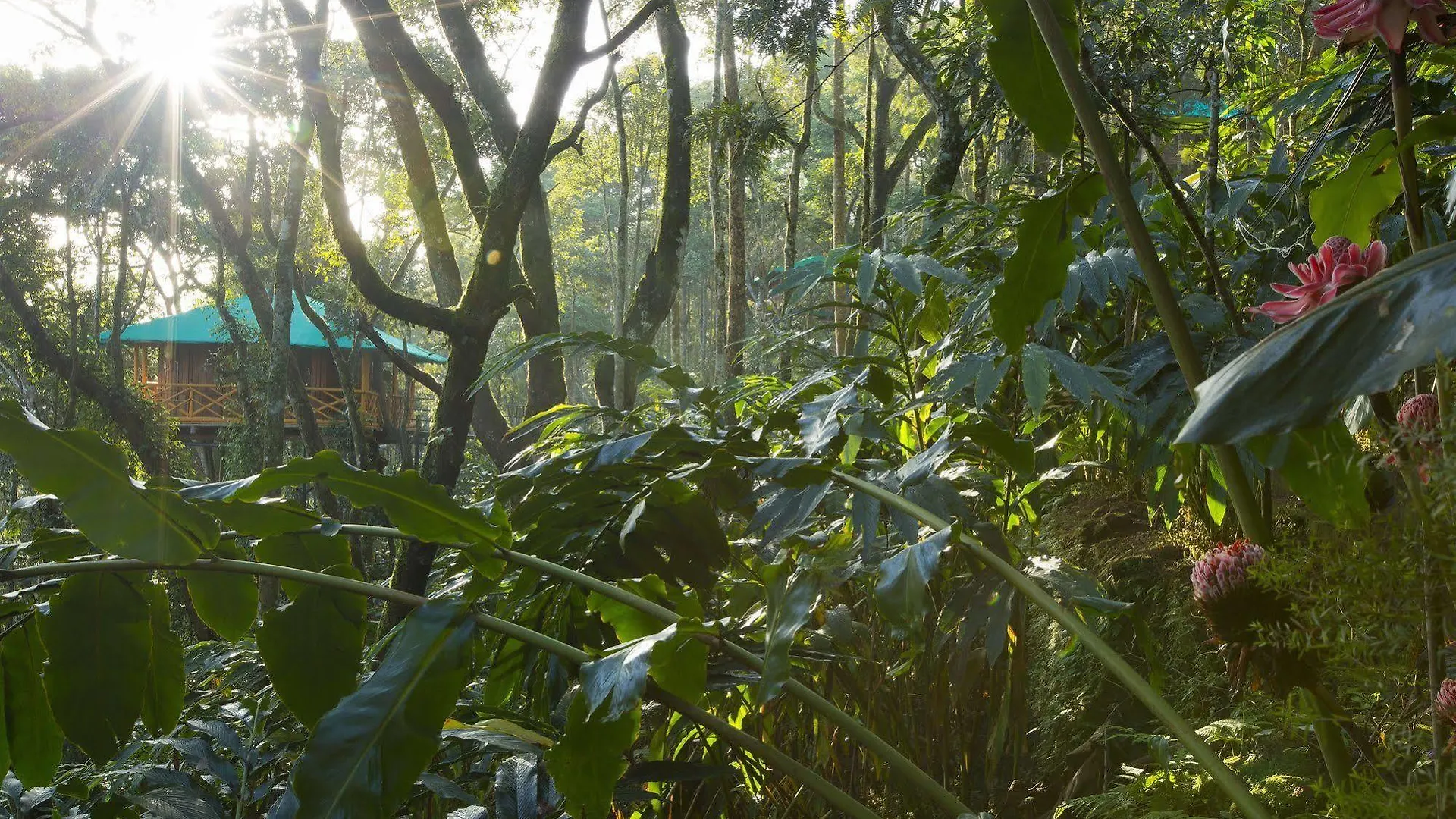 Dream Catcher Resort Munnar