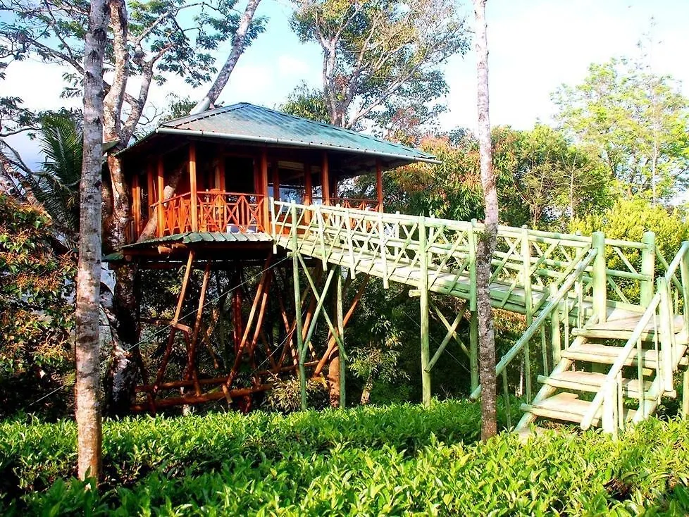 Dream Catcher Resort Муннар Индия