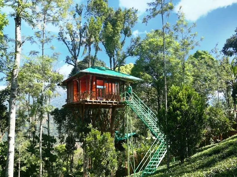 Dream Catcher Resort Муннар