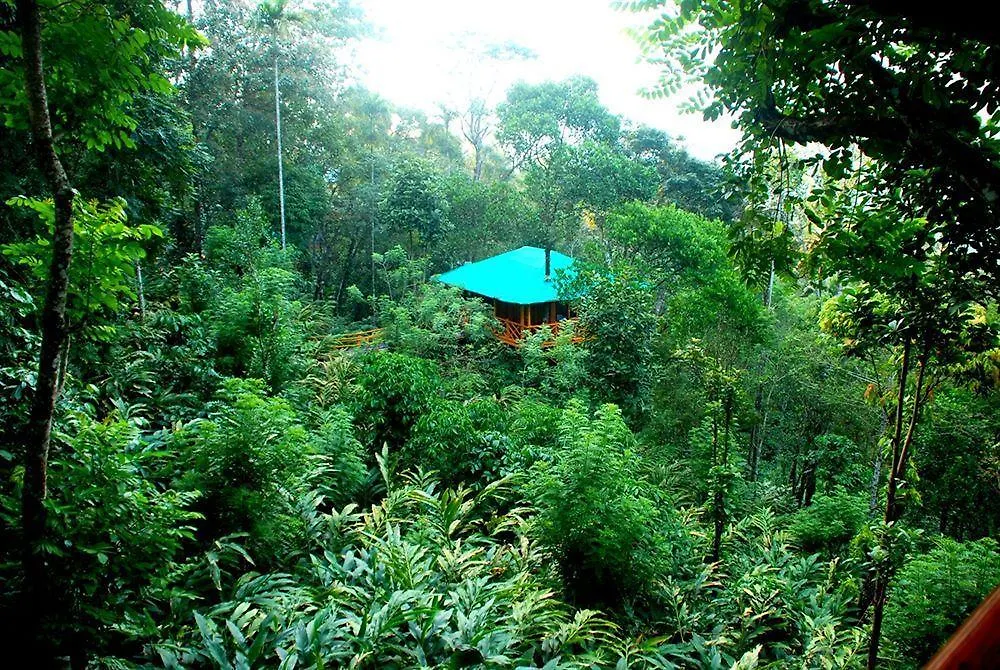 Dream Catcher Resort Муннар Индия