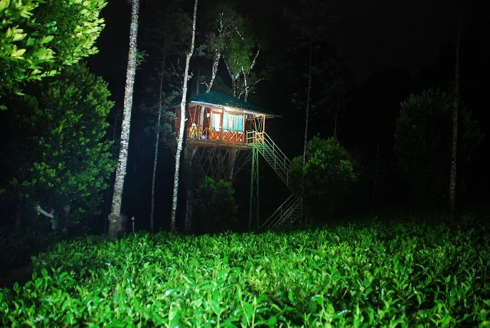 Dream Catcher Resort Муннар