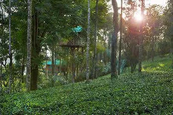 **  Dream Catcher Resort Муннар Индия