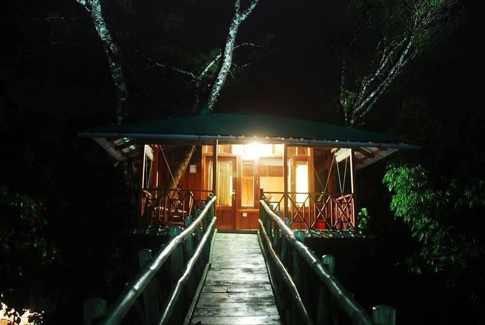 Dream Catcher Resort Муннар