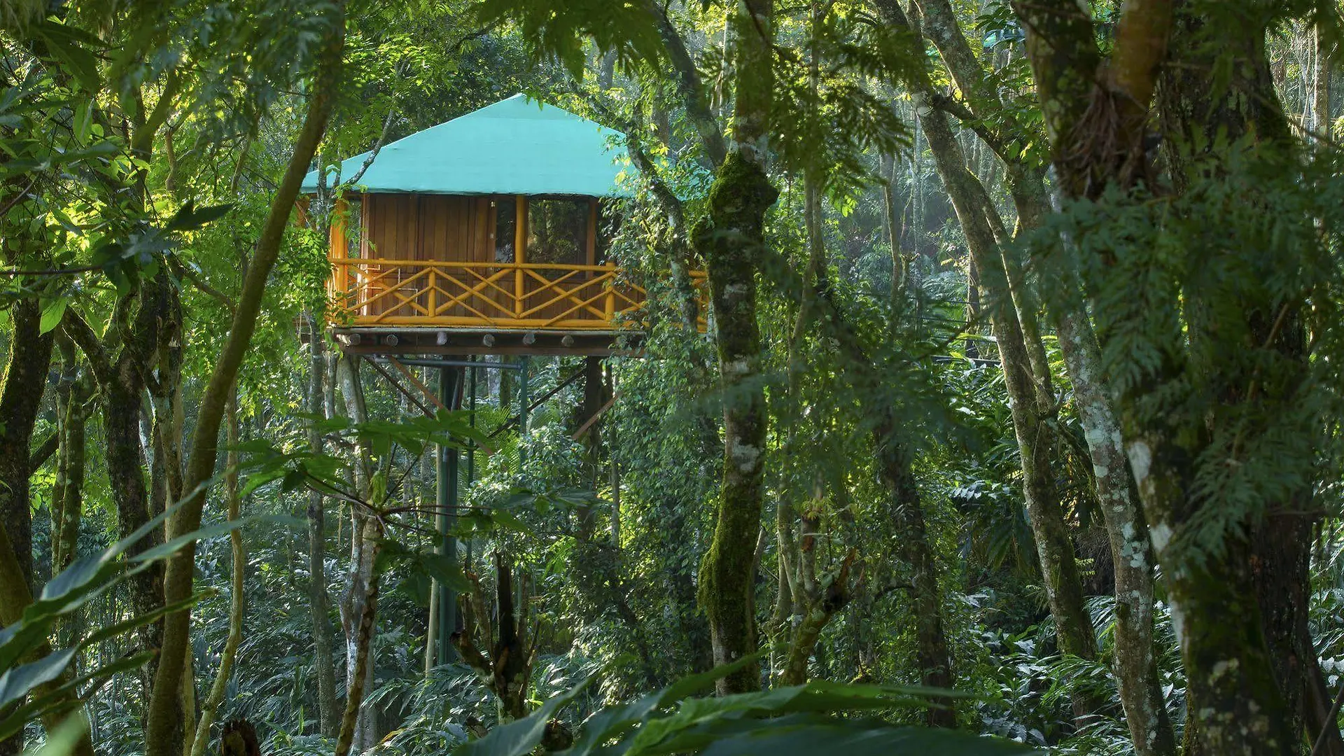 Dream Catcher Resort Муннар