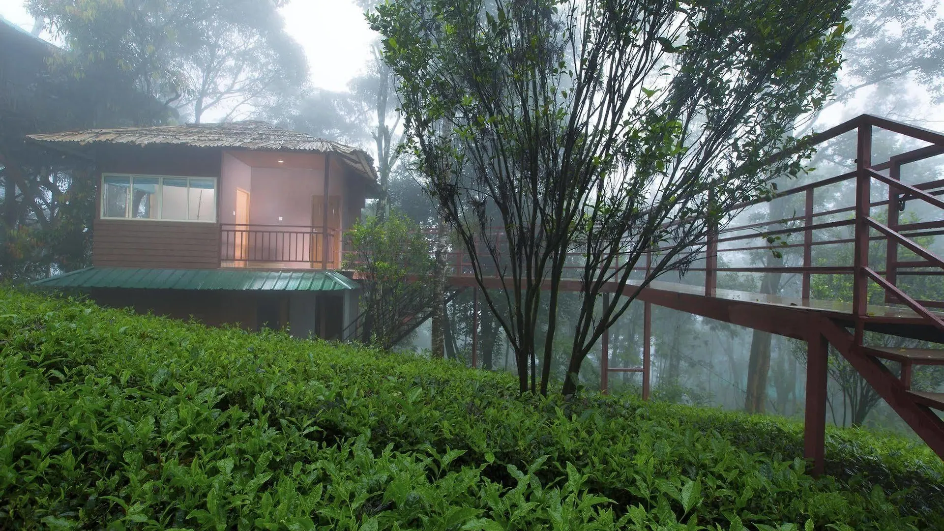Dream Catcher Resort Муннар
