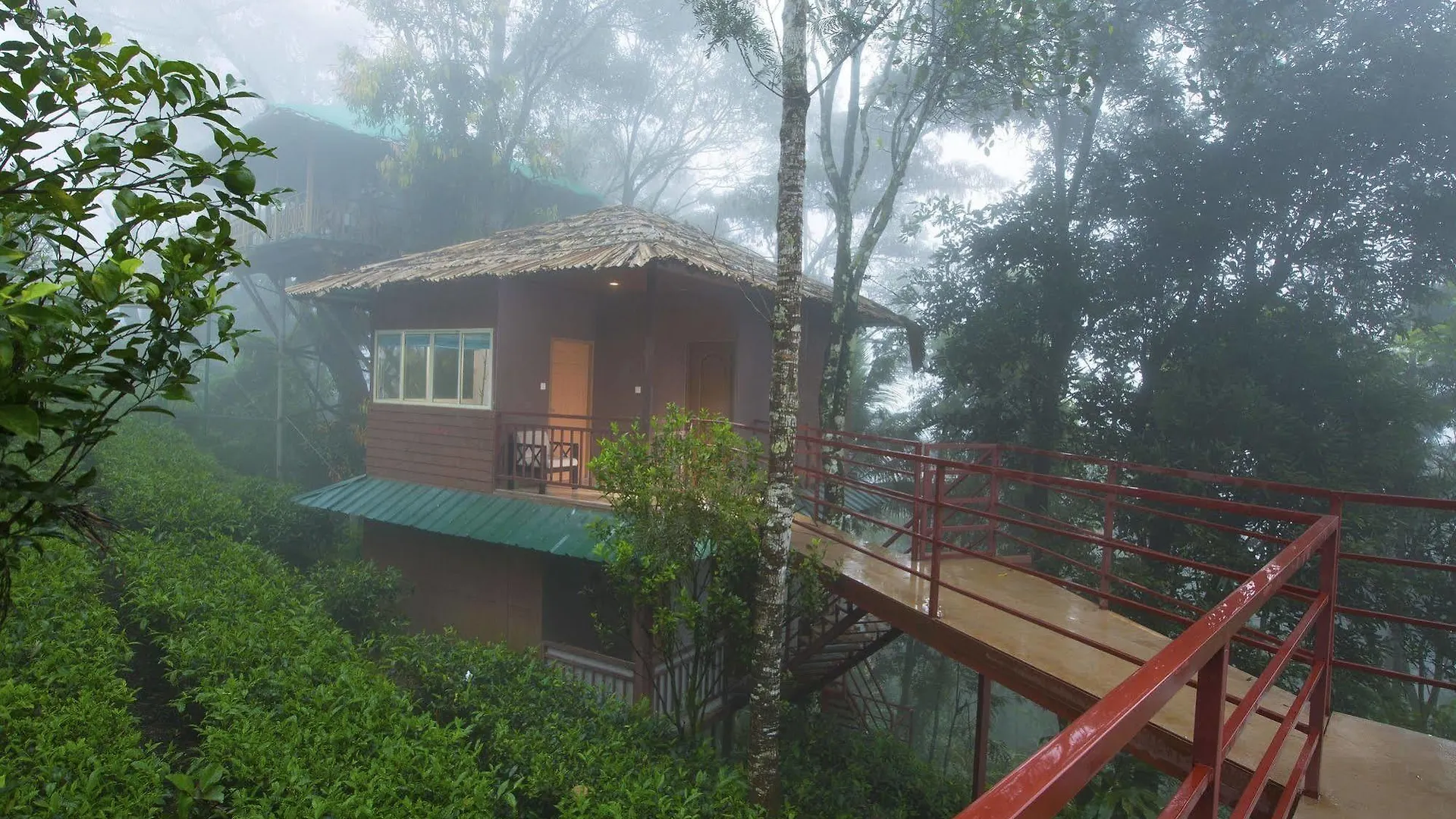 Dream Catcher Resort Муннар Индия