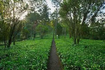 Dream Catcher Resort Munnar